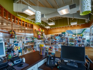 MuseumStore-300x225.jpg