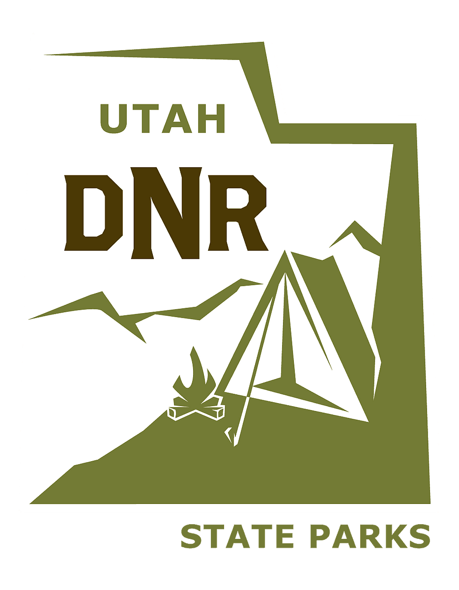 DNR logo-medium.png