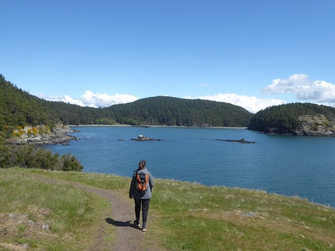 P1320151-684x513.jpg