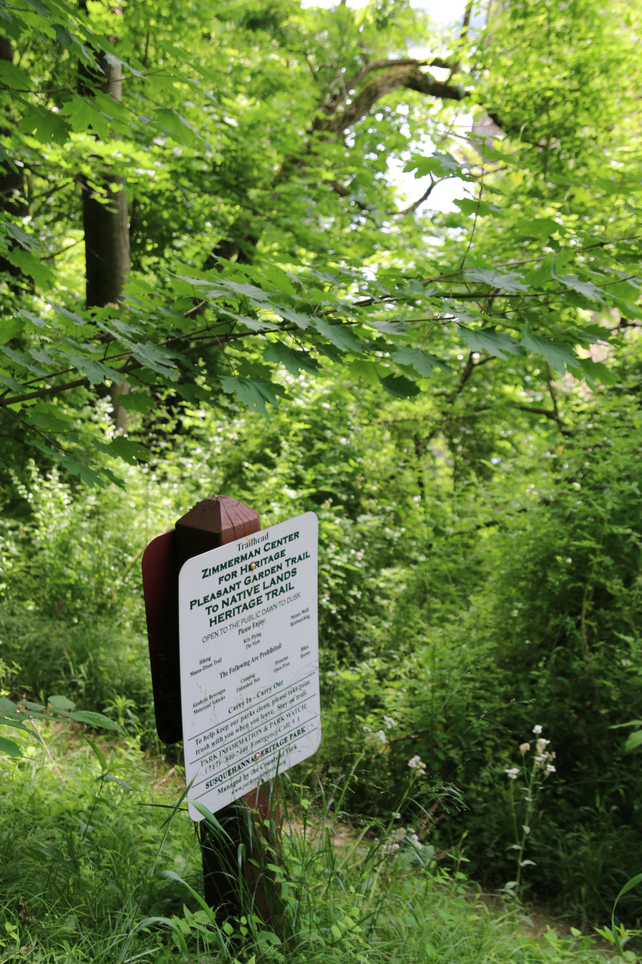 Zimmerman Trail 2.jpg