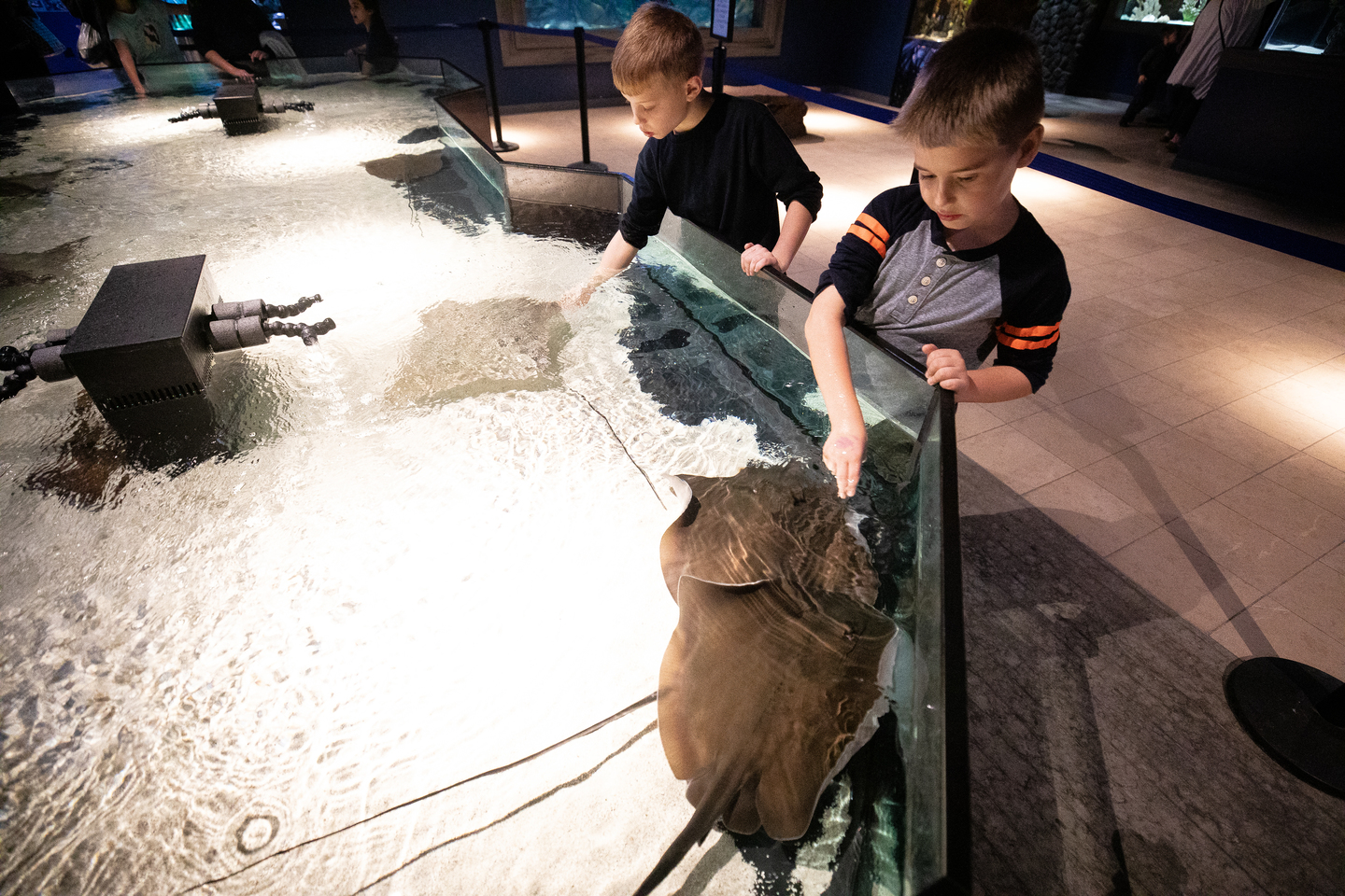 Electric_City_Aquarium_Hiller_415_LCVB (1).jpg