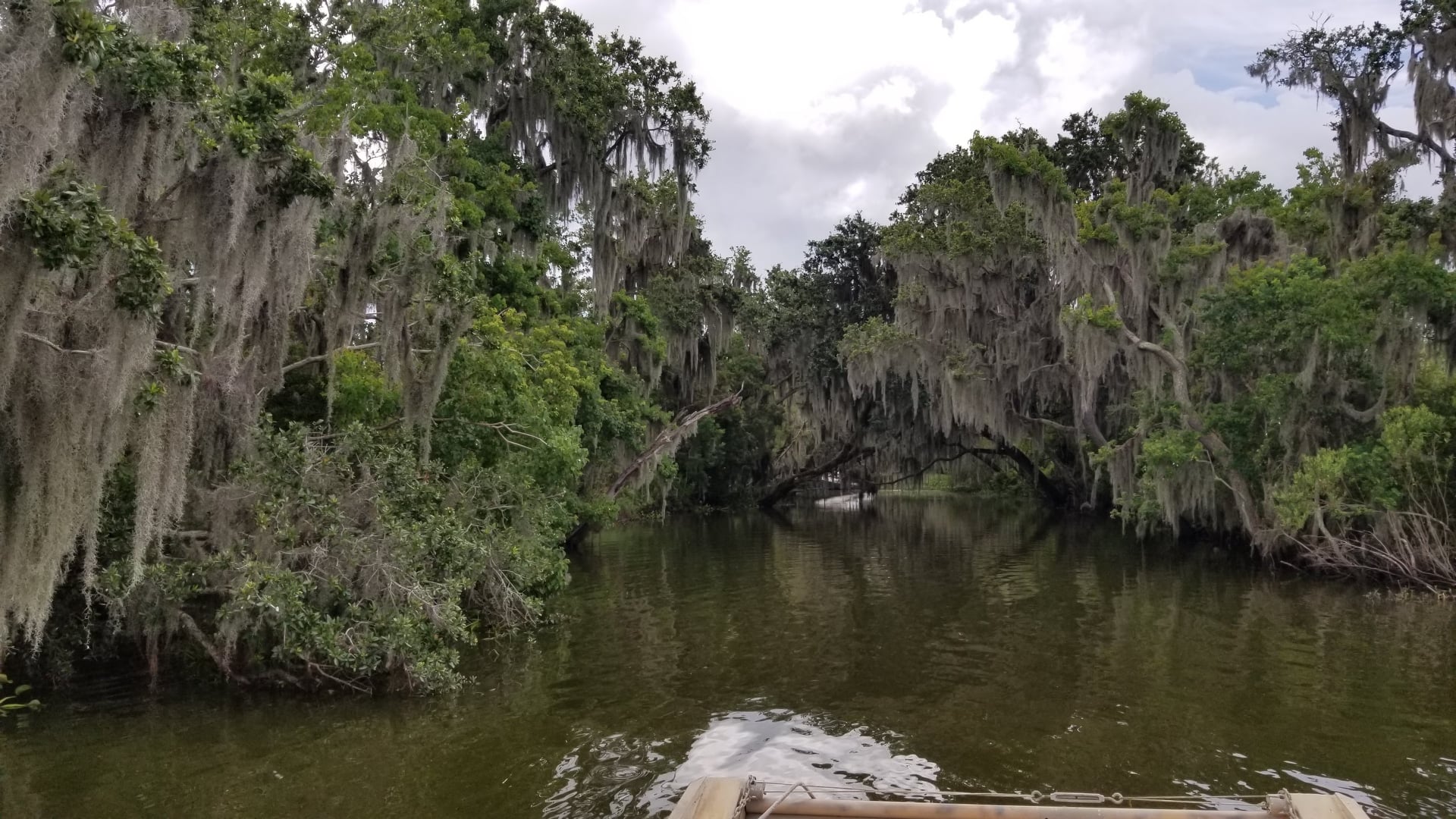 Airboat 2.jpg