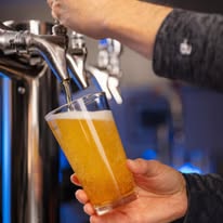 Beer.jpg