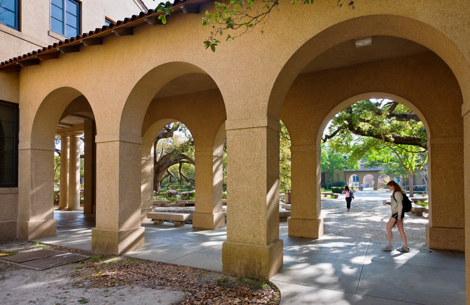 177-3-7610--LSU-Quad-Collonade_PC-large.jpg