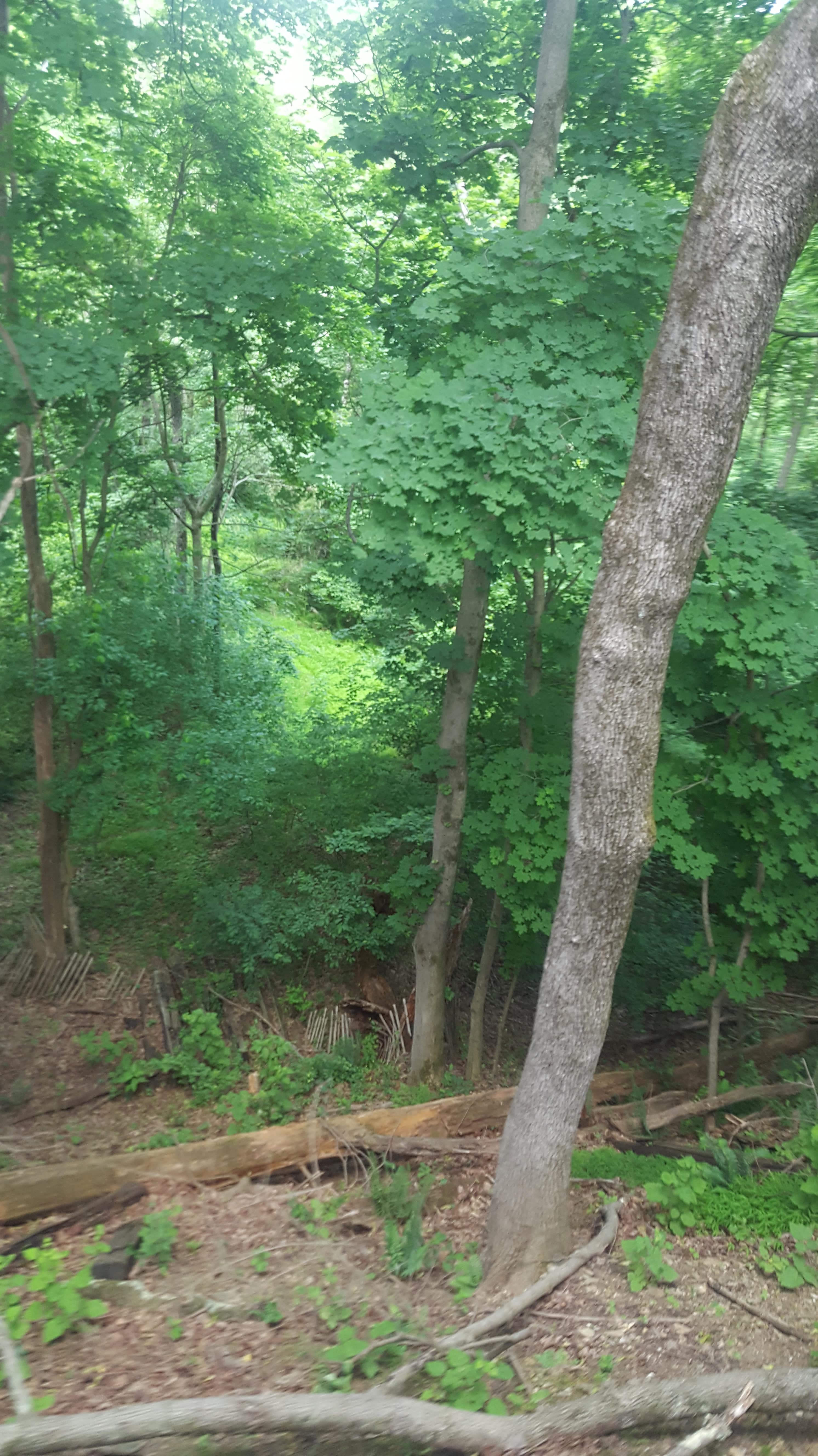 20210619_101834-min.jpg
