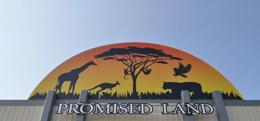 promised-land-.jpeg