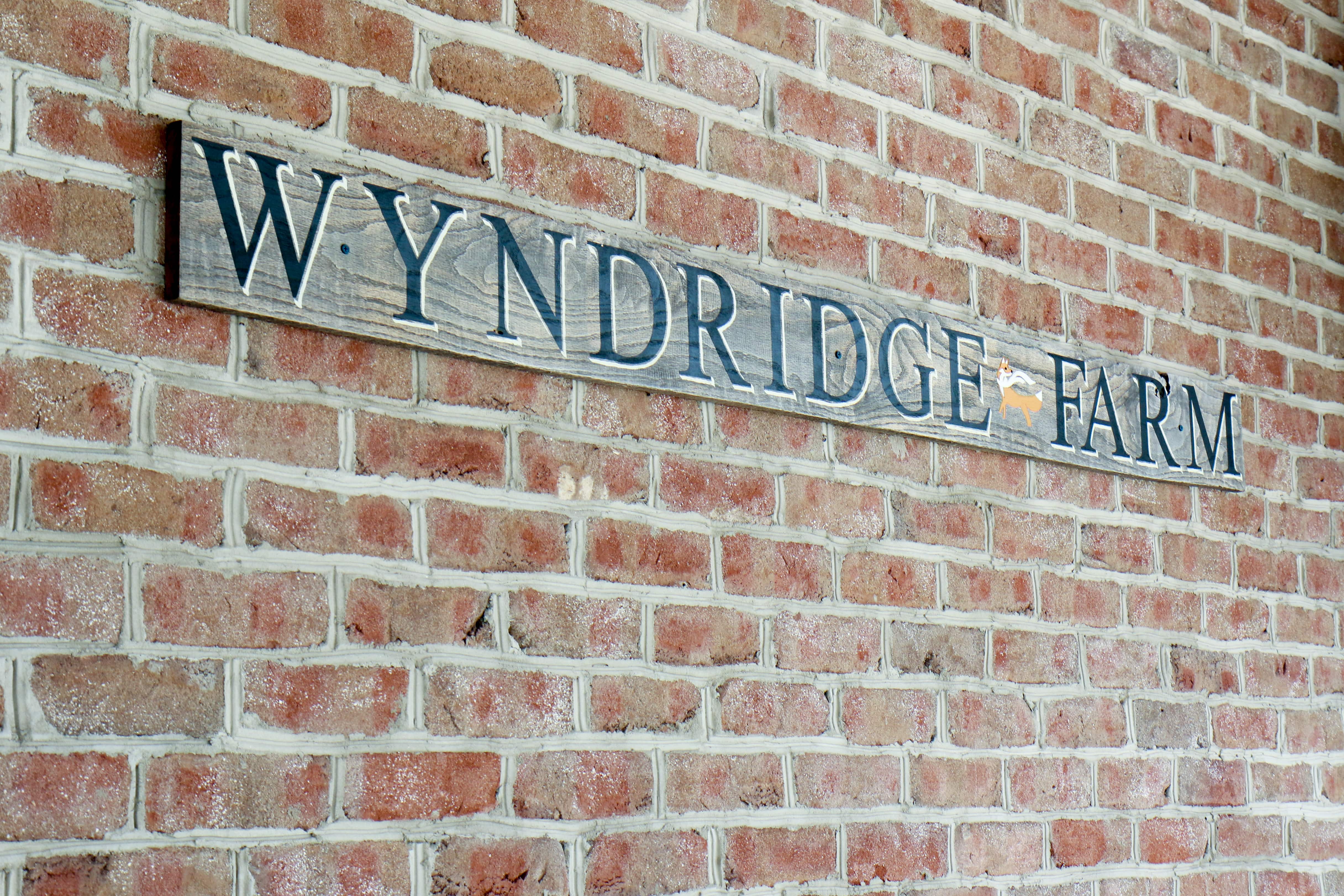 wyndridge-07-min.jpg