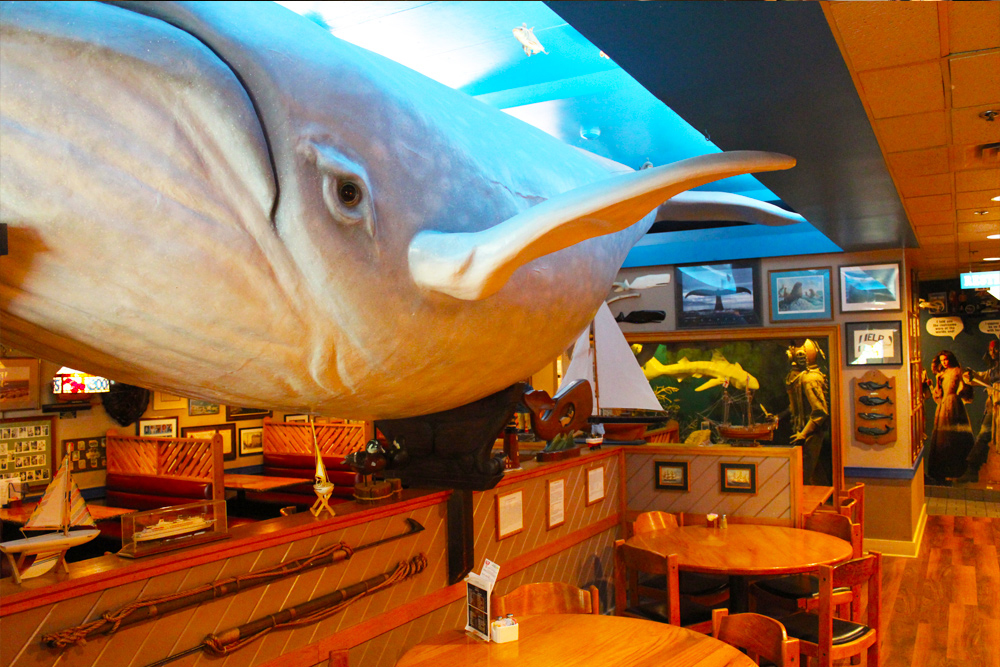 Coopers_insidewhaleroom2_RyanCooper (2).jpg