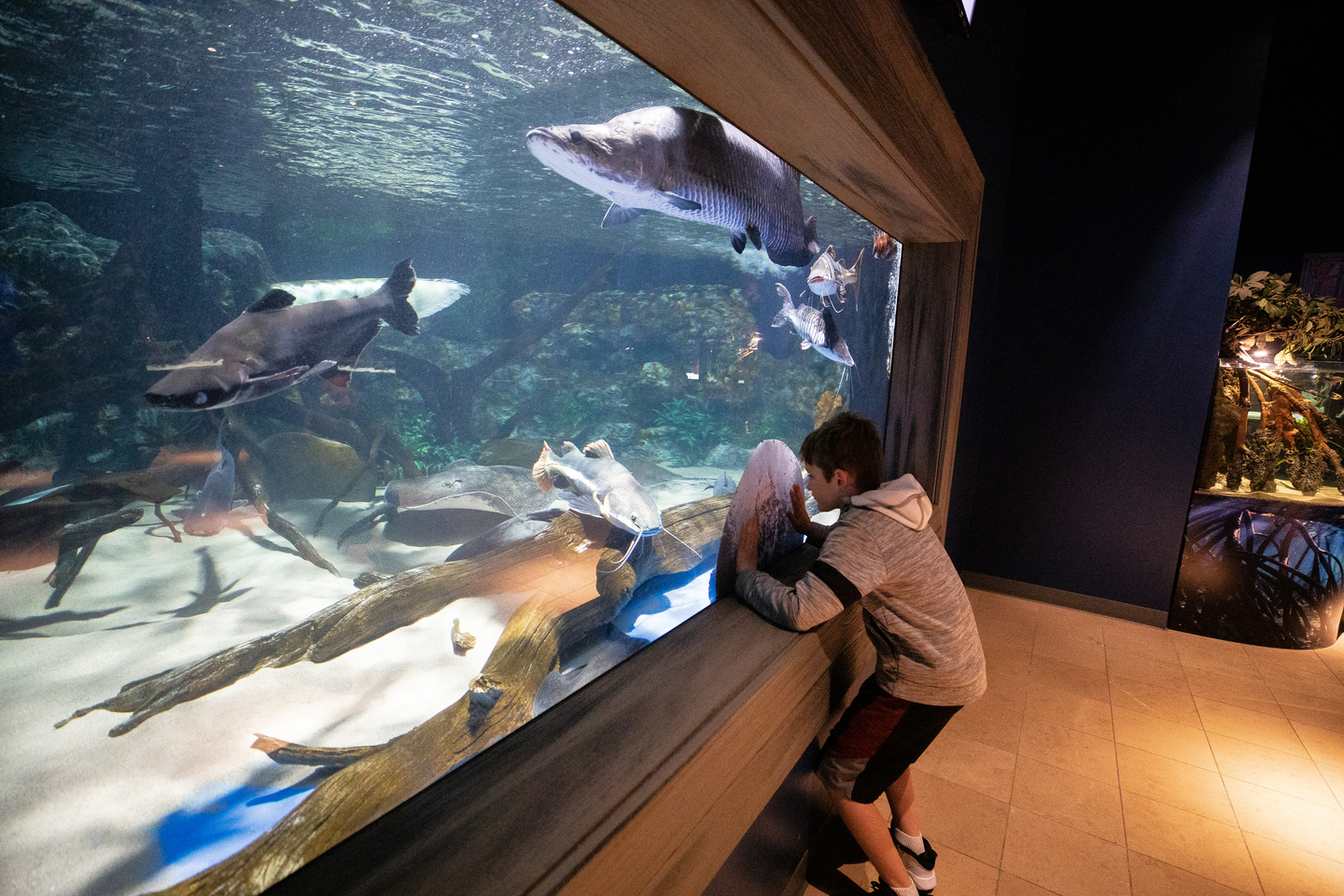 Electric_City_Aquarium_Hiller_430_LCVB.jpg