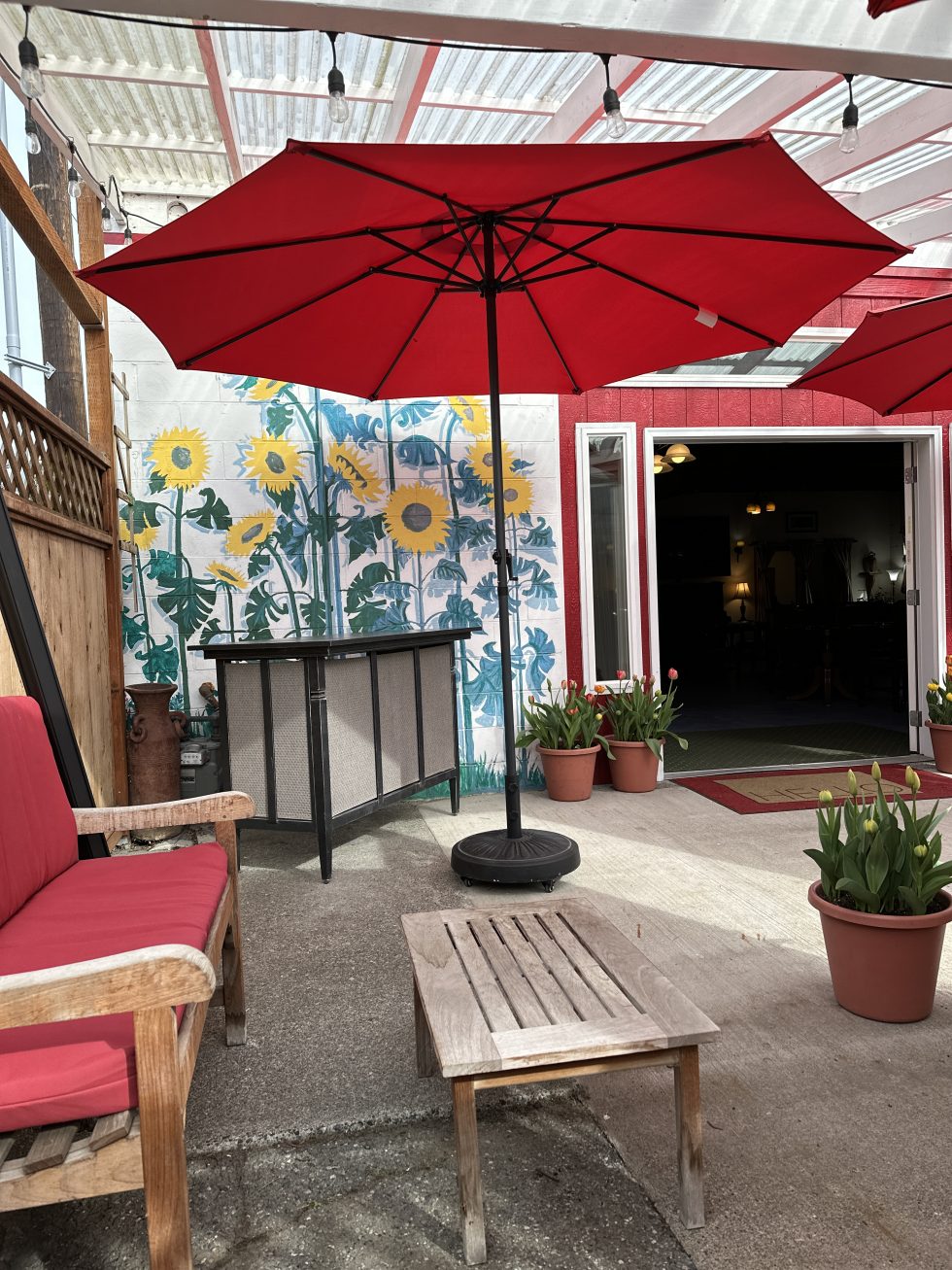 n-patio-open-door-980x1307.jpg