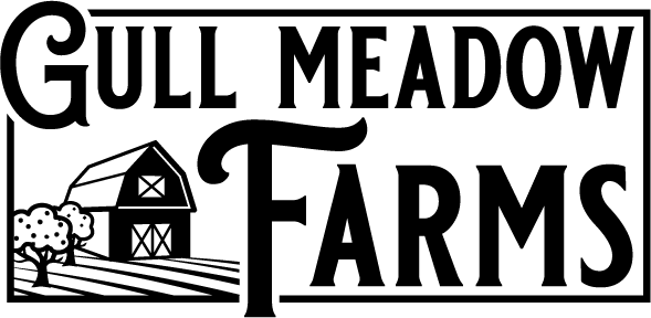 GMF1-Logo.png