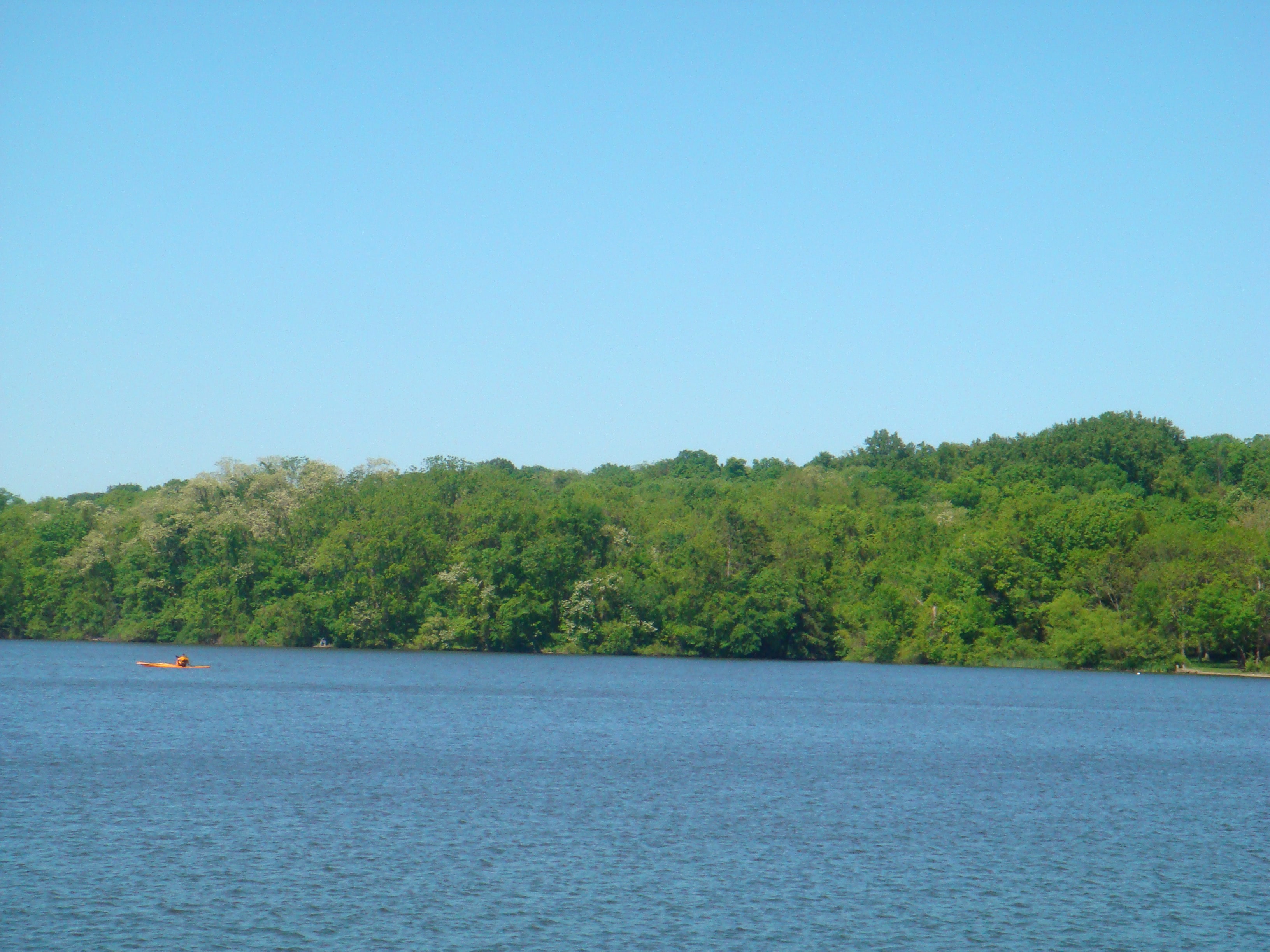 Gifford Pinchot Sate Park 09-min.jpg
