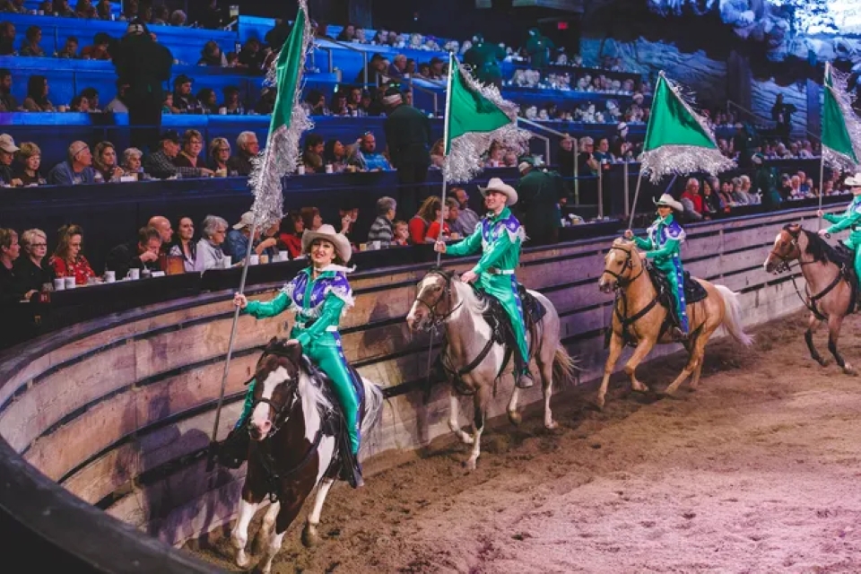 64cee6b2-7c26-469b-9752-d96b6b7e36d6-Dolly_Partons_Stampede_1A.jpg