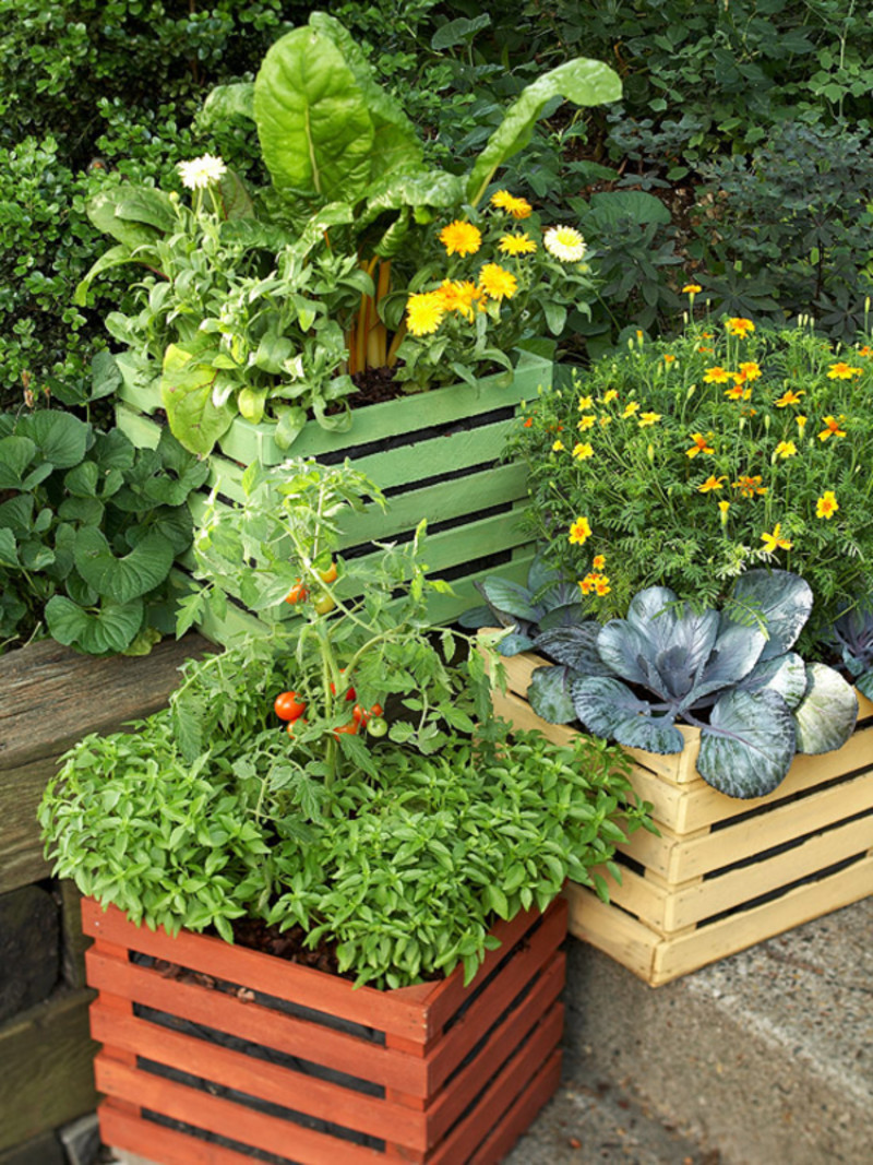 container palooza plants.jpg