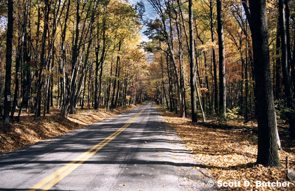 Codorus State Park 05.jpg