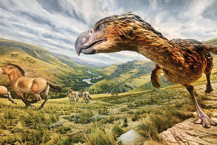 ancient_ozarks_natural_history_museum_0.jpg