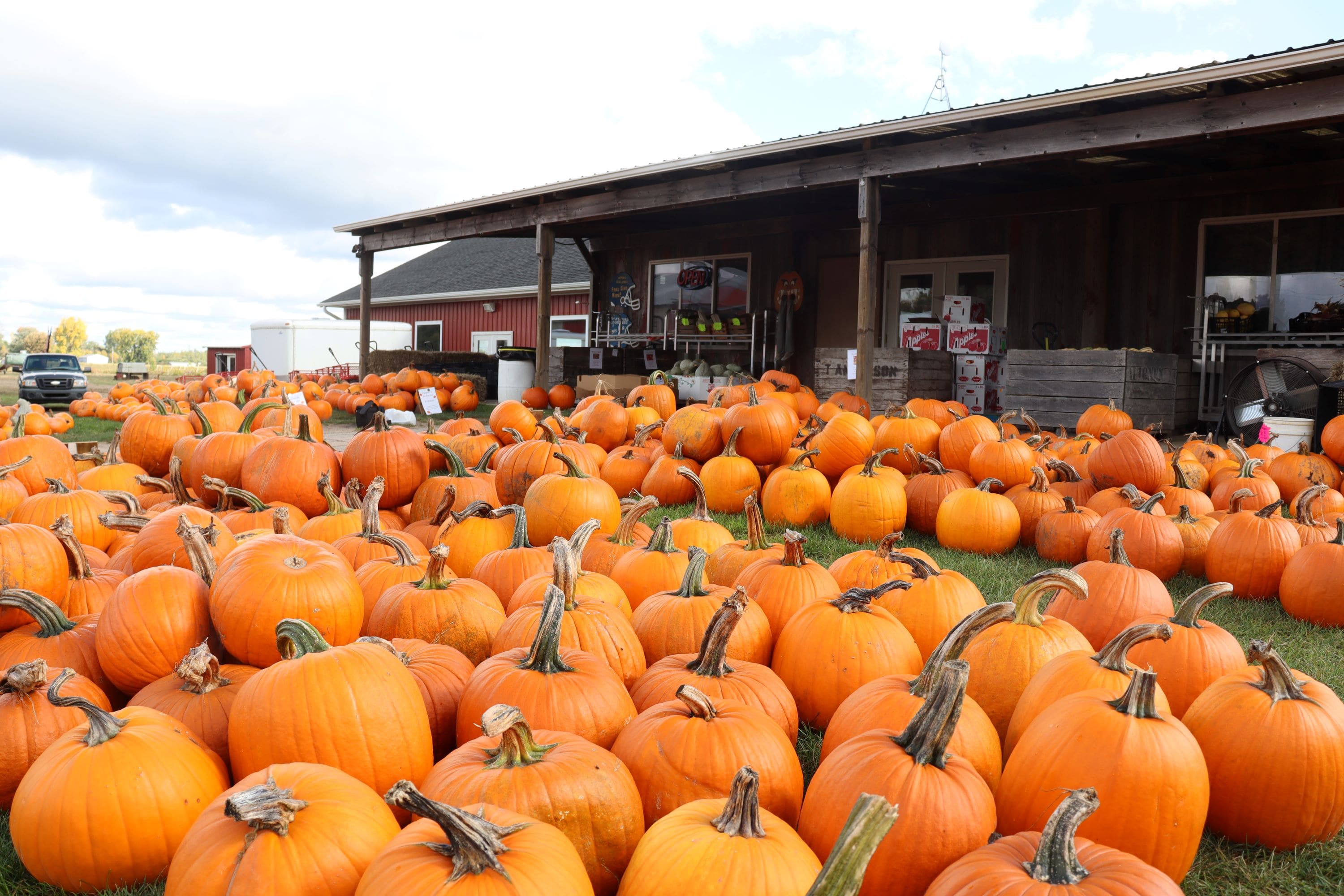 Papas Pumpkins-min.jpg