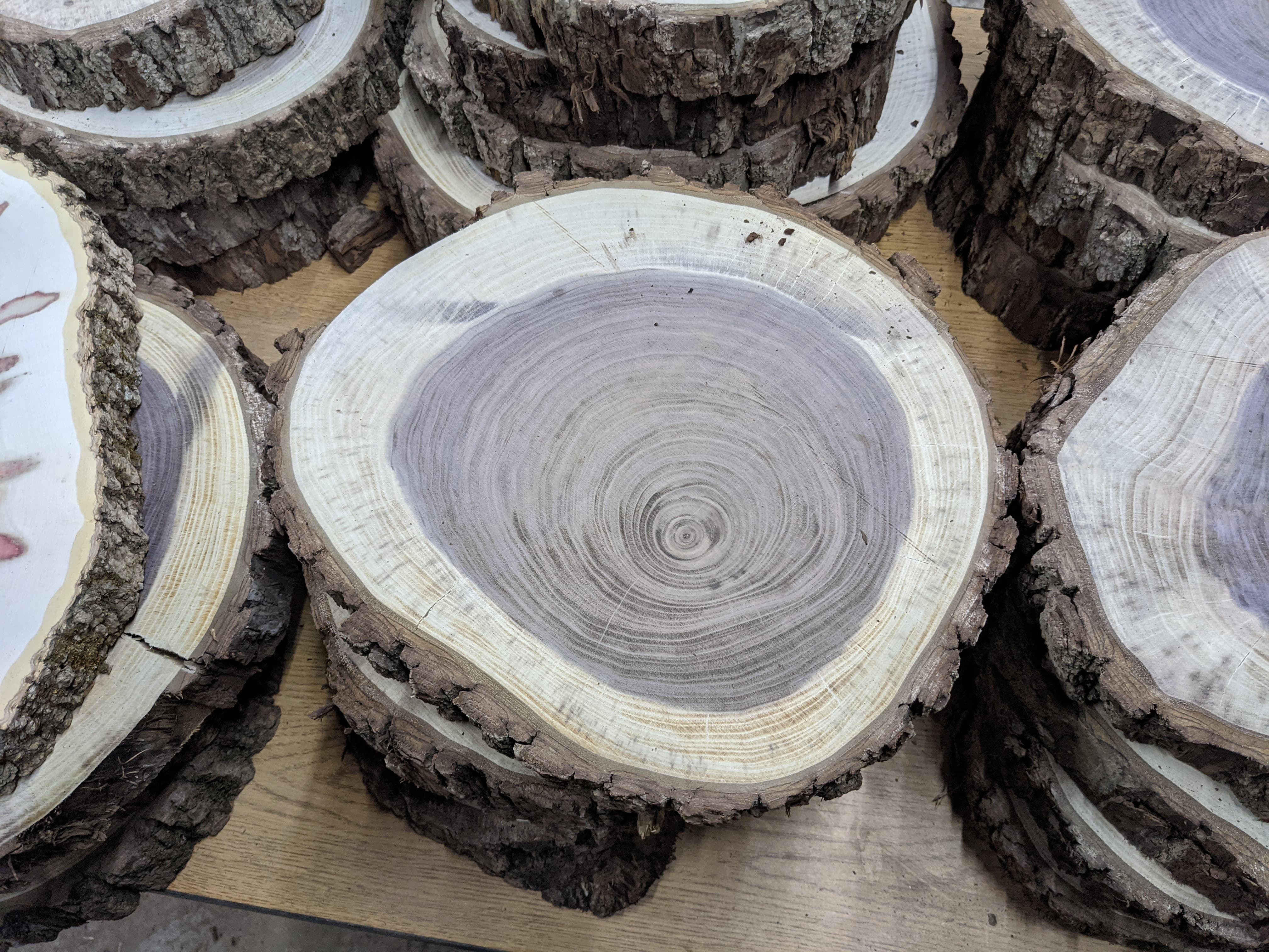 tree rings-min.jpg