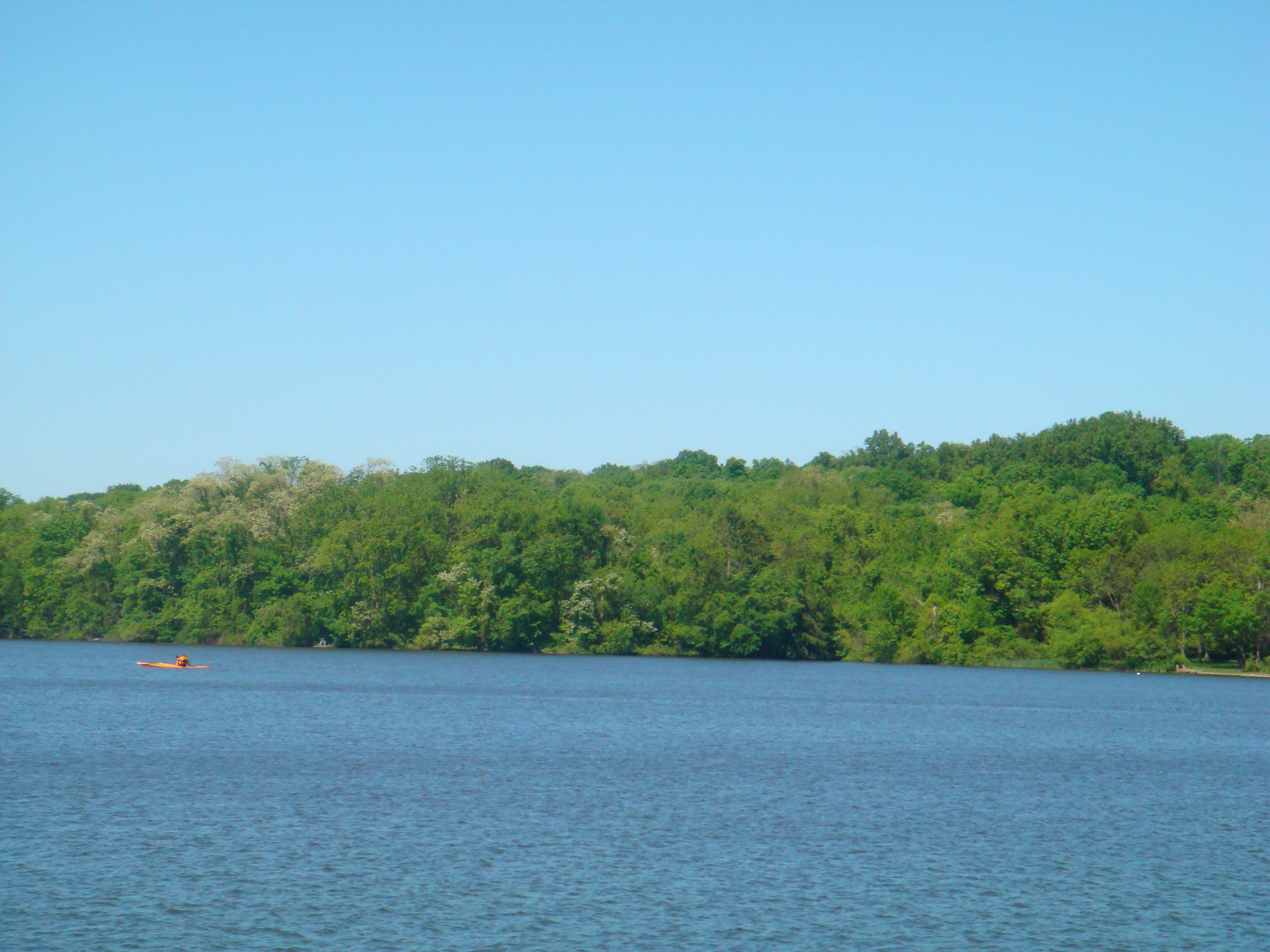 Gifford Pinchot Sate Park 09.jpg