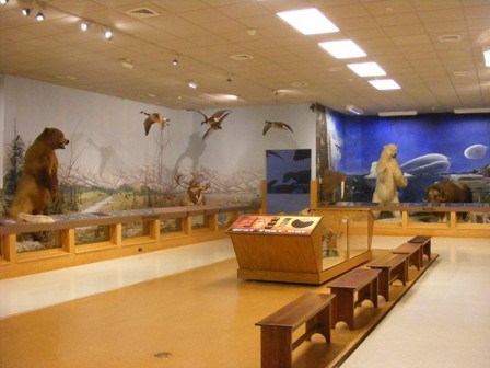 Nixon_Park_Displays.jpg