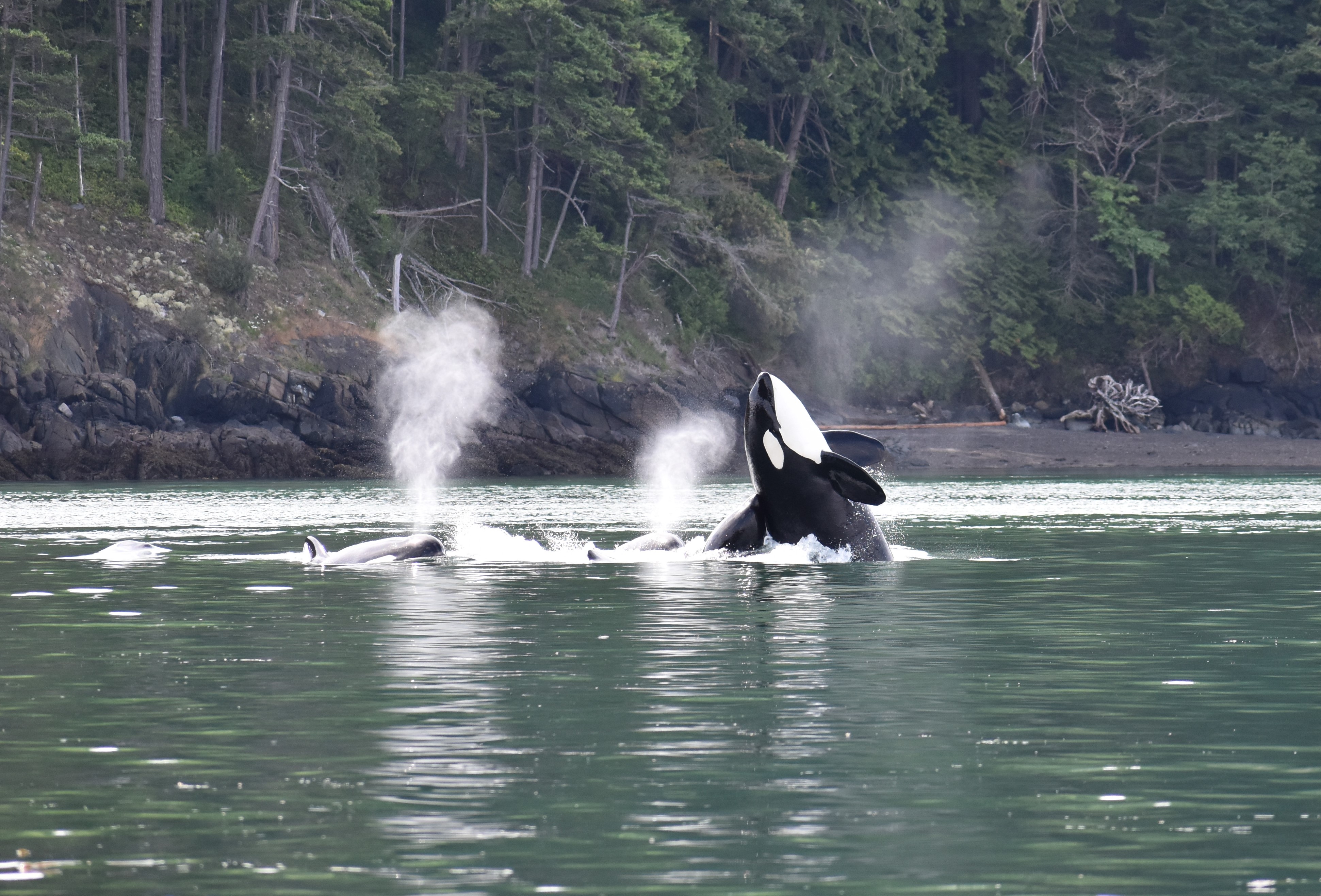 DSC_0472.jpg