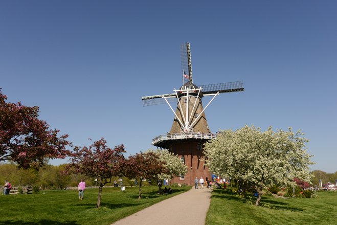 Crowdriff-windmill.jpg