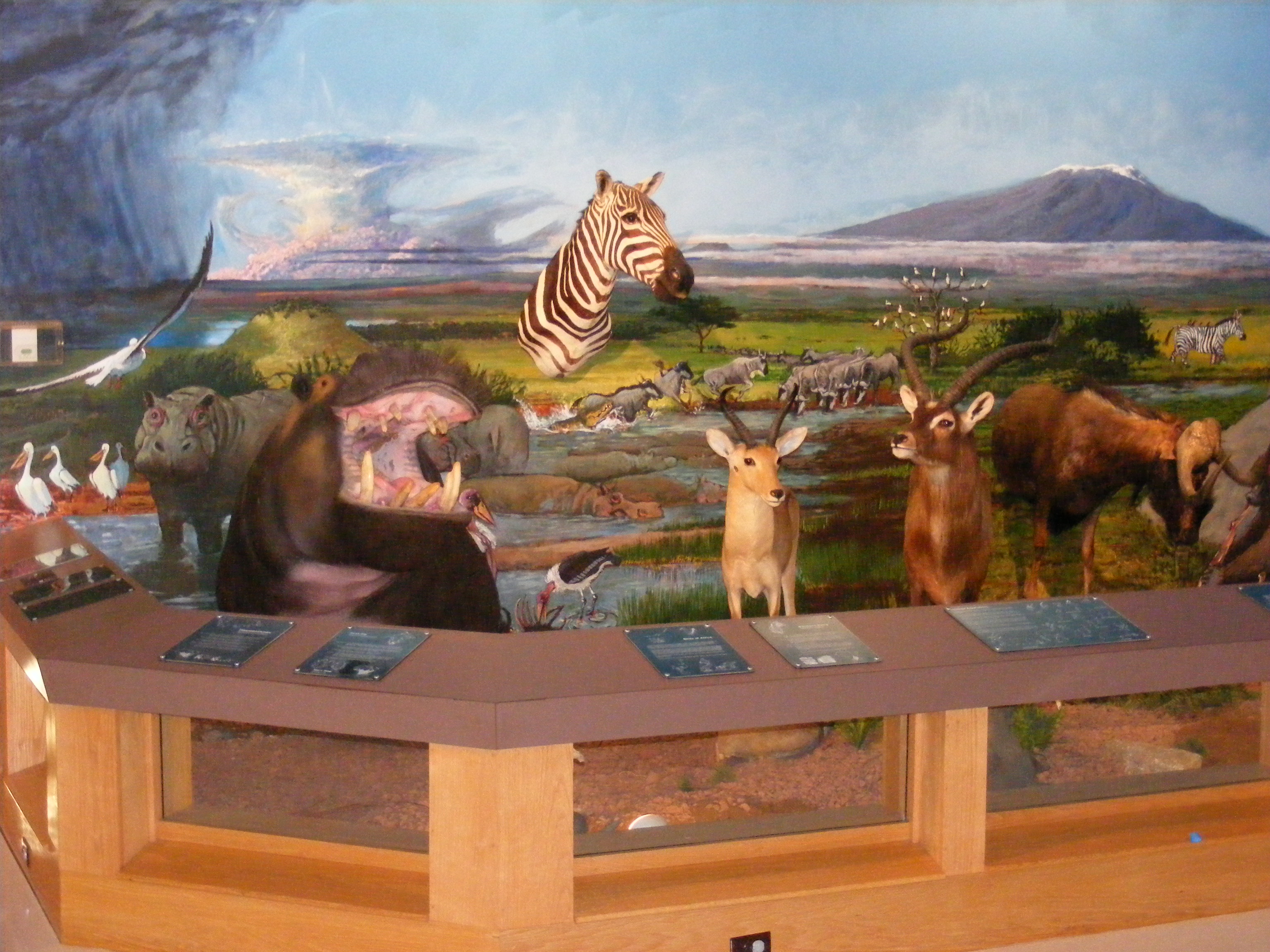 Nixon Animal Mounts.JPG