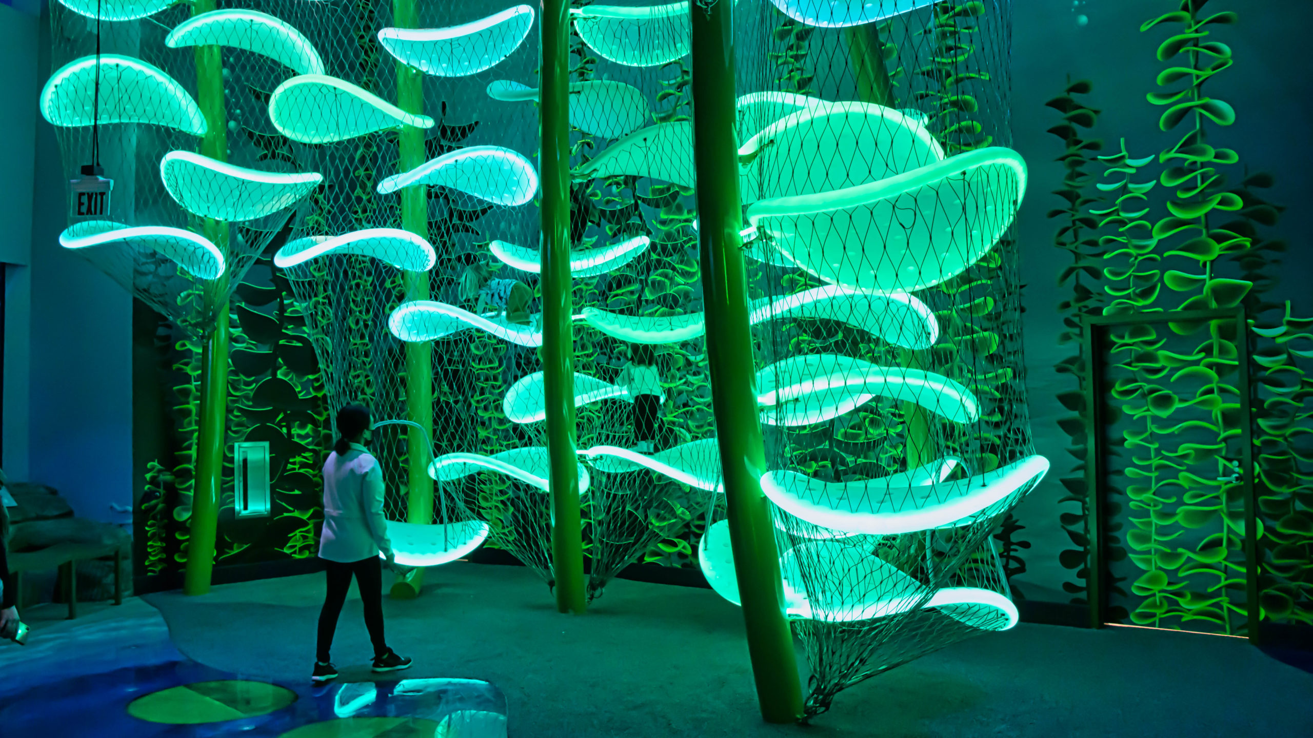 201201-Branson-Aquarium-Family-Kelp-Forest-scaled.jpg