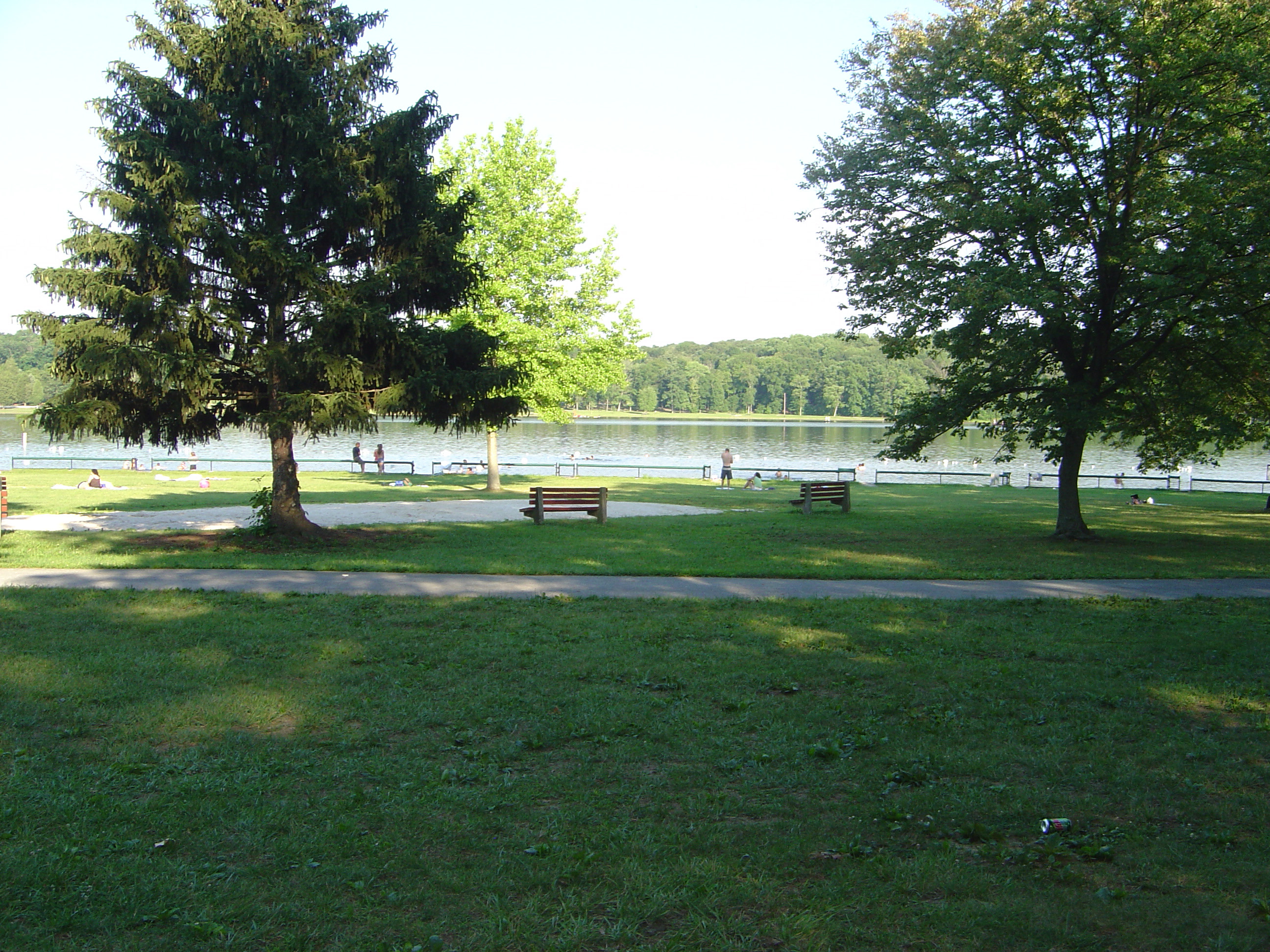 Gifford Pinchot Sate Park 08.jpg