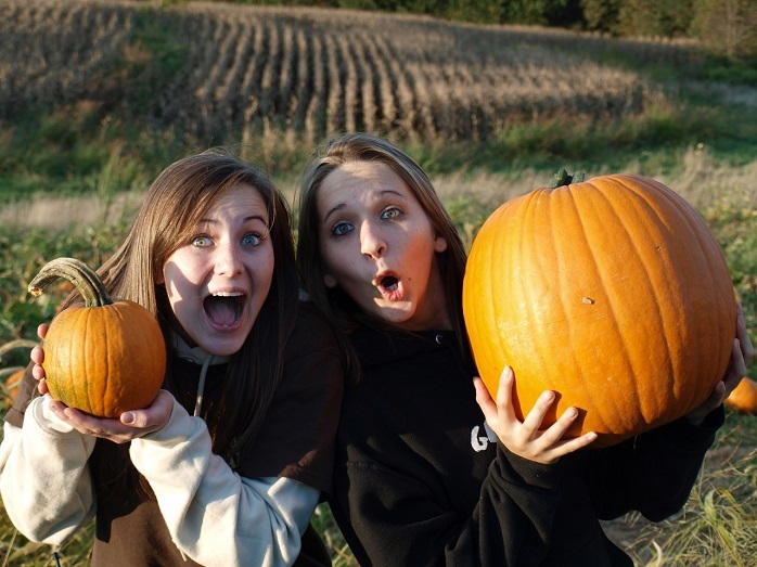 Maple Lawn Pumpkins.jpg