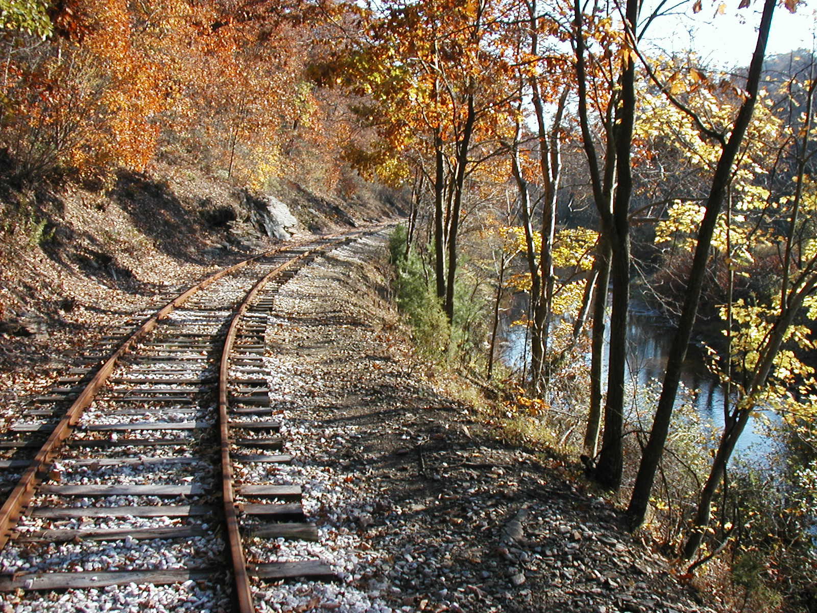 Fall Curving Track.jpg