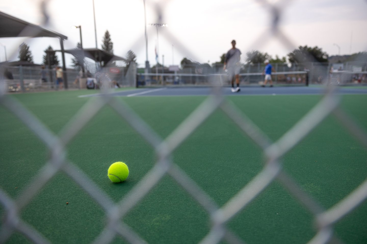 Tennis ball.jpg