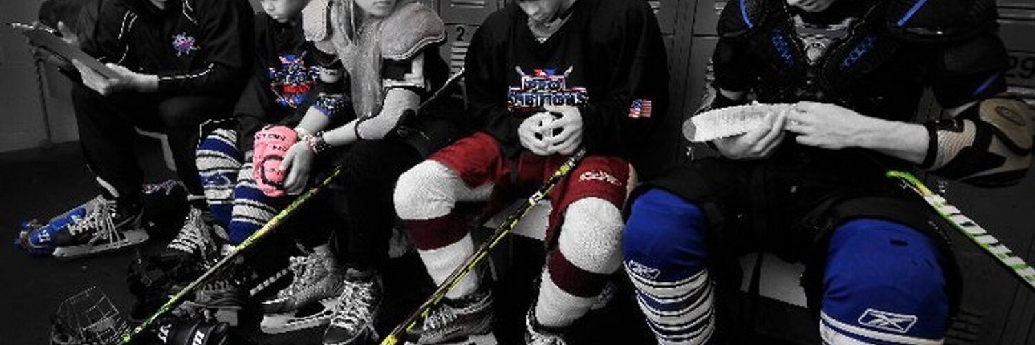 Pro Ambitions Hockey