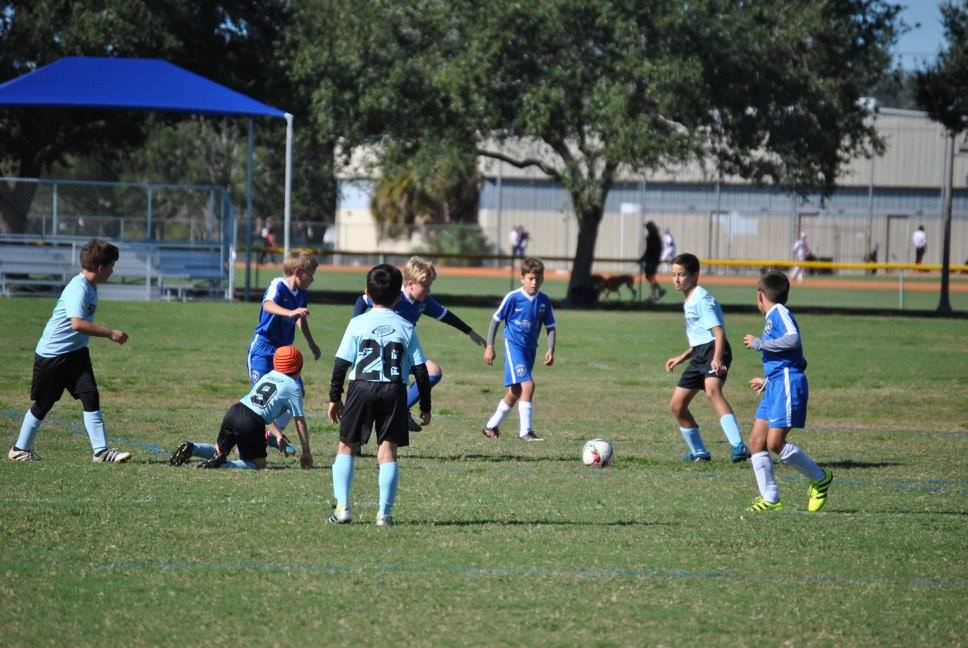 Belcher Soccer Complex2