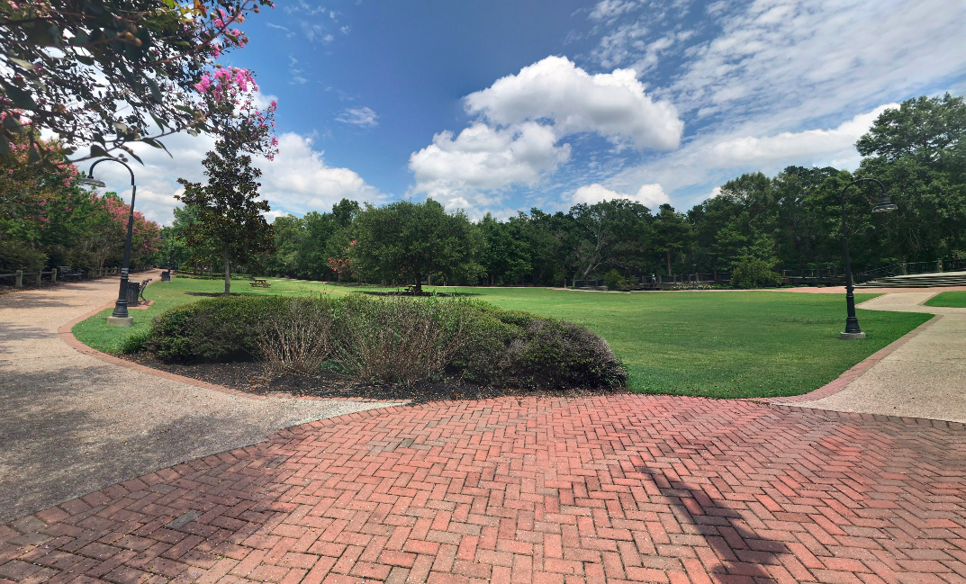 grass area