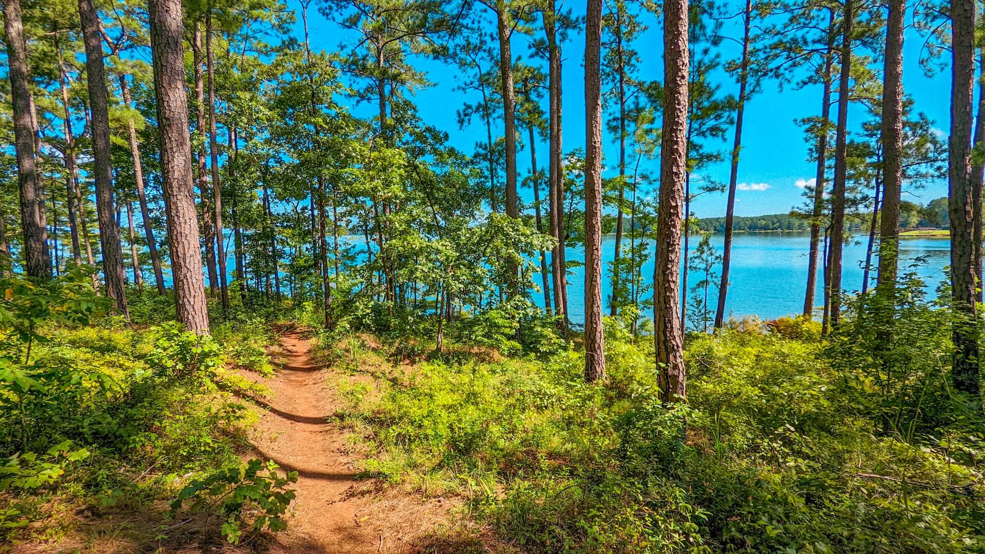 Visit-LaGrange-Sports-Planning-Lakeside-Trails.jpg