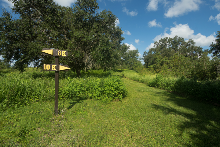 Holloway_Park_cross_country_trails_Lakeland_2018_015-720x480-a88ecdd7-fc0a-4f72-9806-aea756710855.png