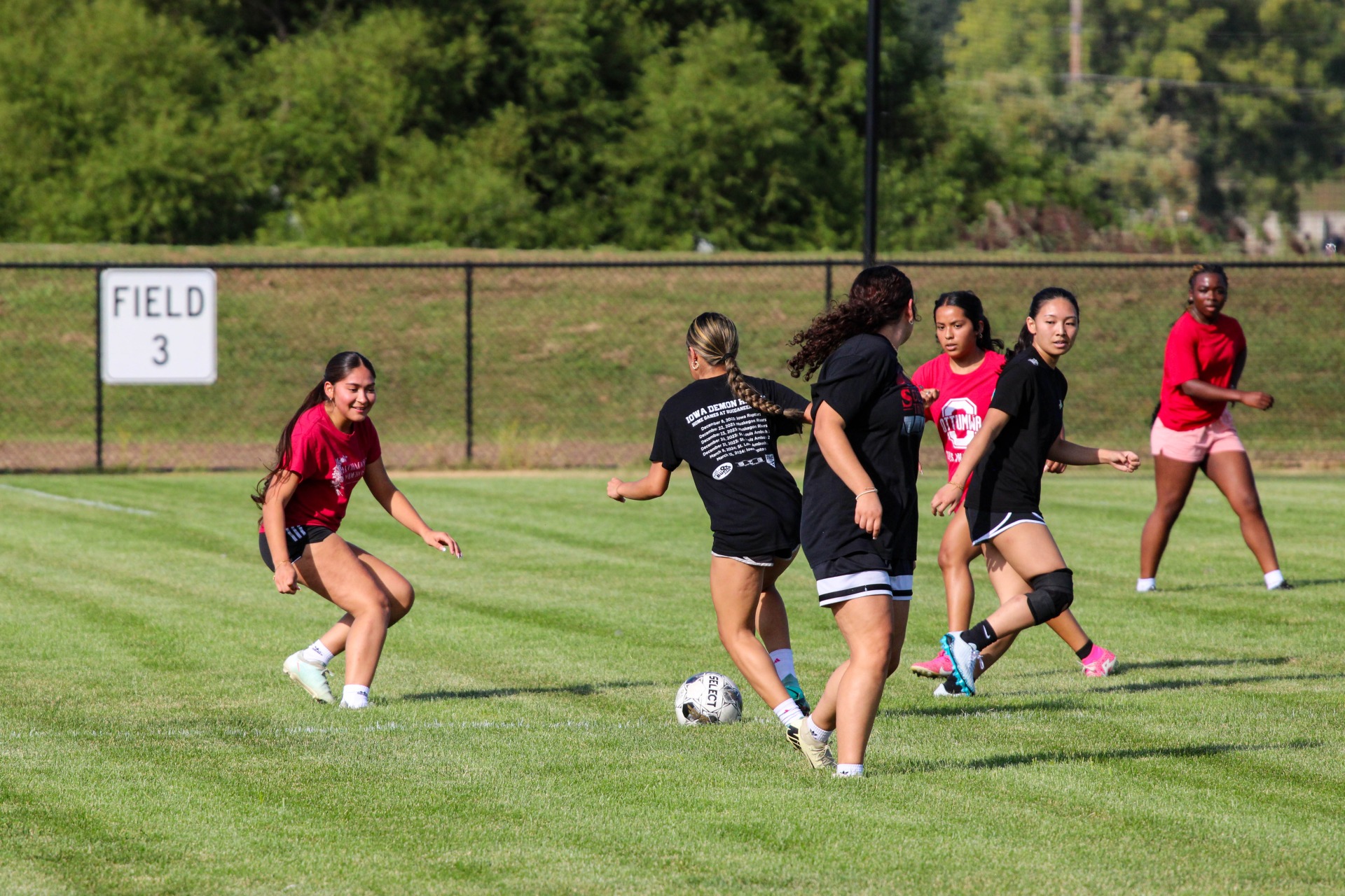 legacy_fields66025.jpg