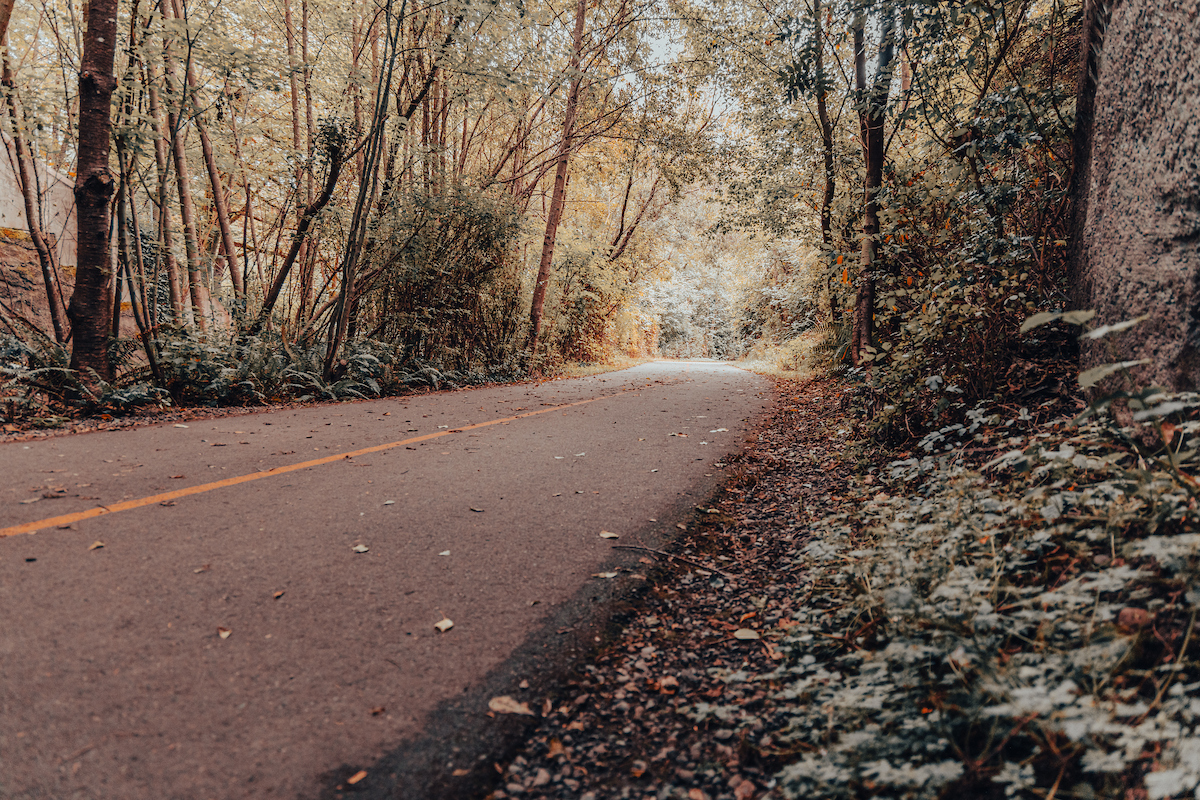 Des Moines Creek Trail_walk-22.JPG