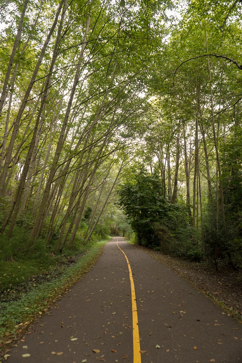 des-moines-creek-trail-sara-anfuso-2.JPG