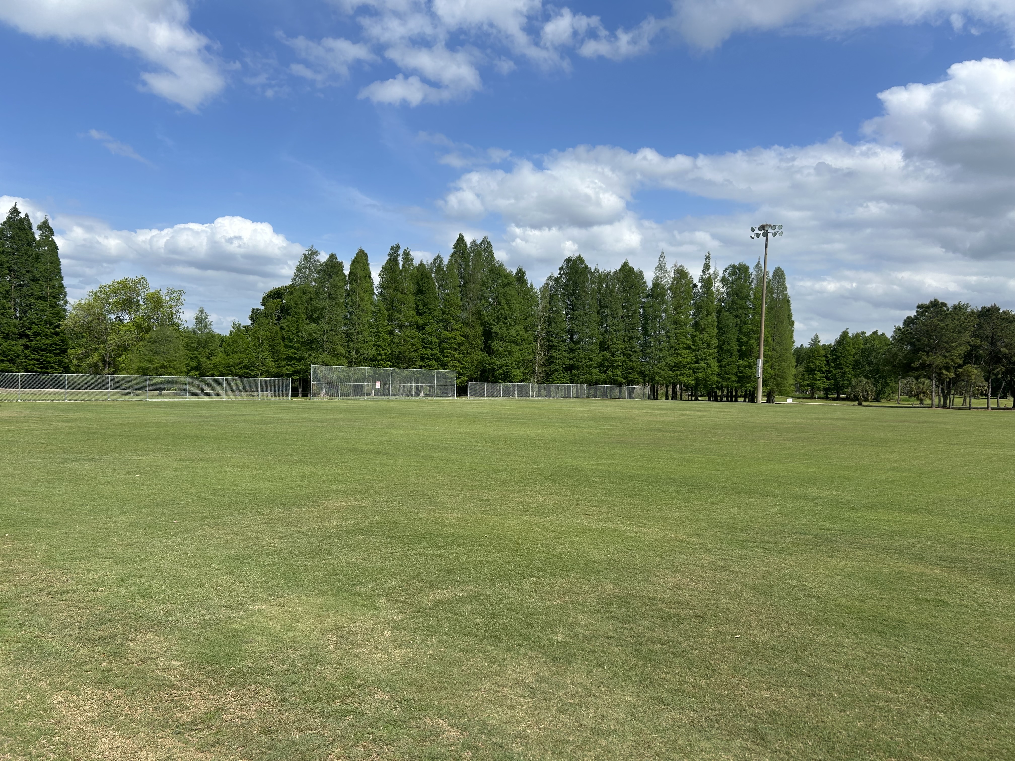 IMG_9650.jpg