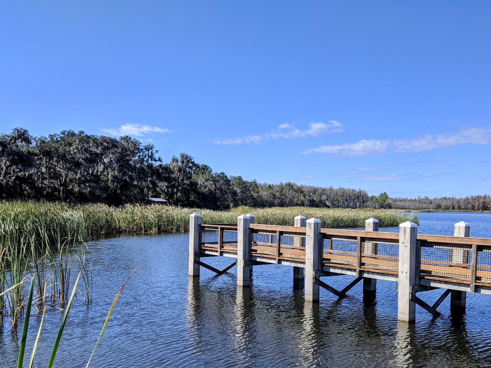 Colt Creek State park.jpg