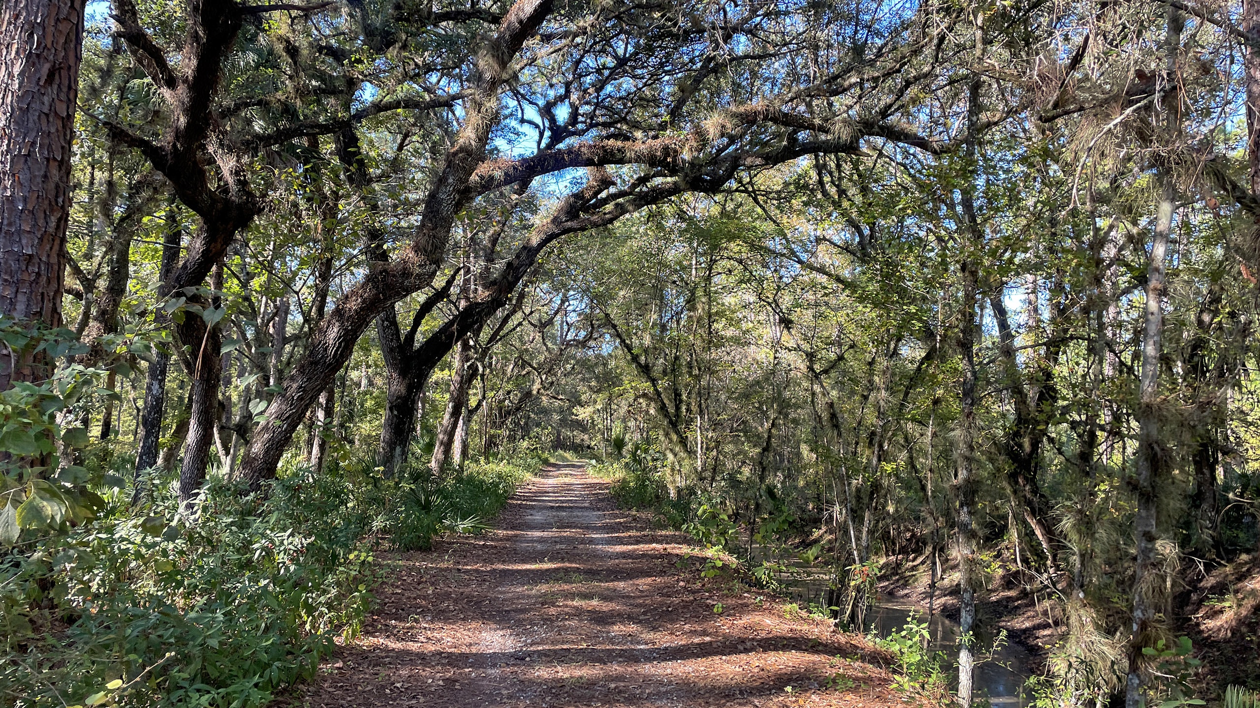 Colt-Creek-Yellow-Trail.jpg