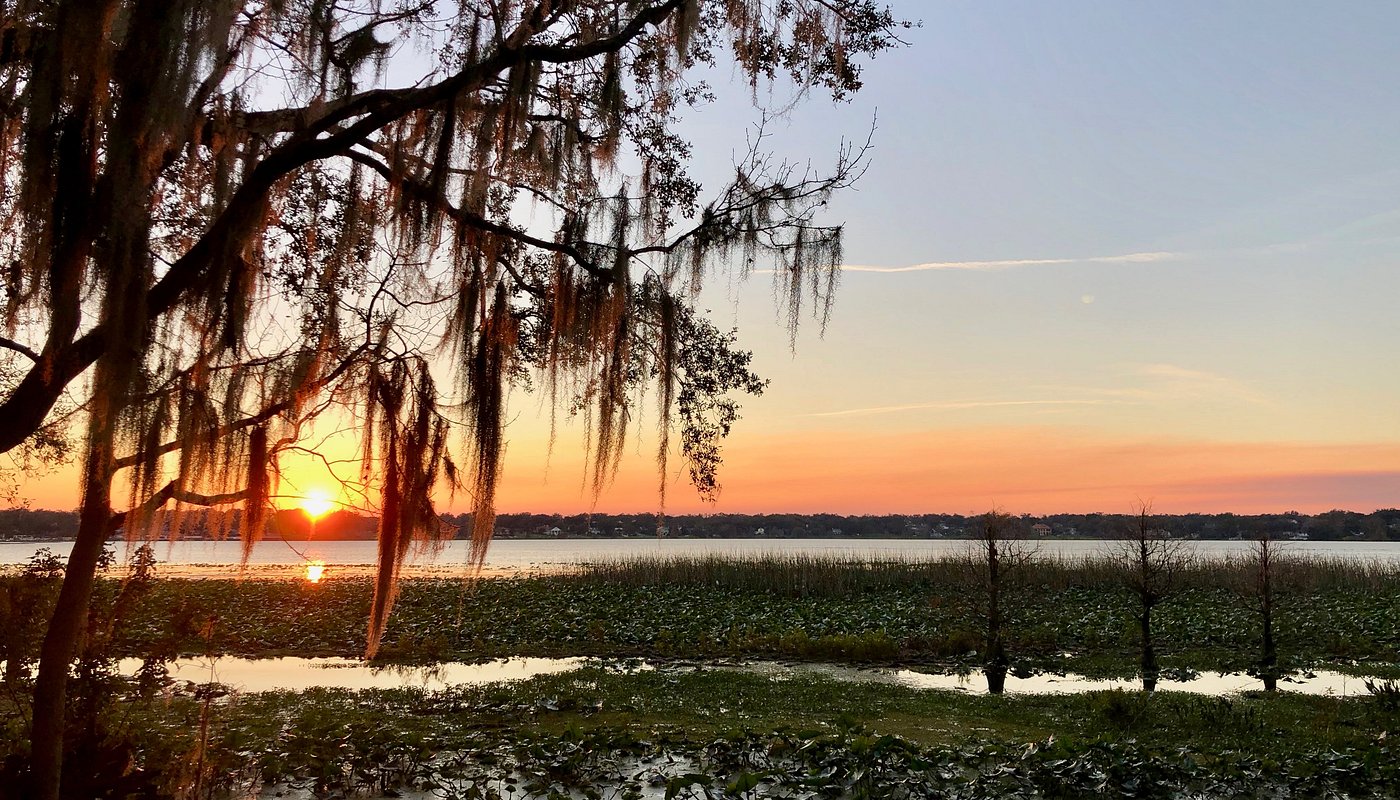 Lake hollingsworth.jpg