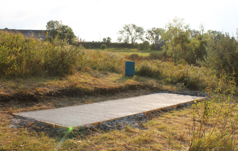 disc-golf-3-768x490.jpg