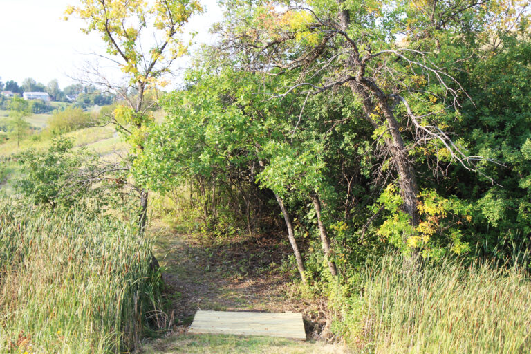 disc-golf-2-768x512.jpg