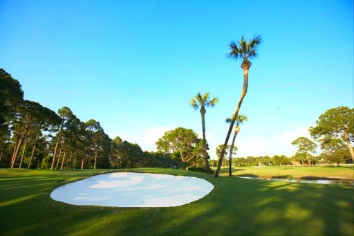 Holiday Golf Club 3