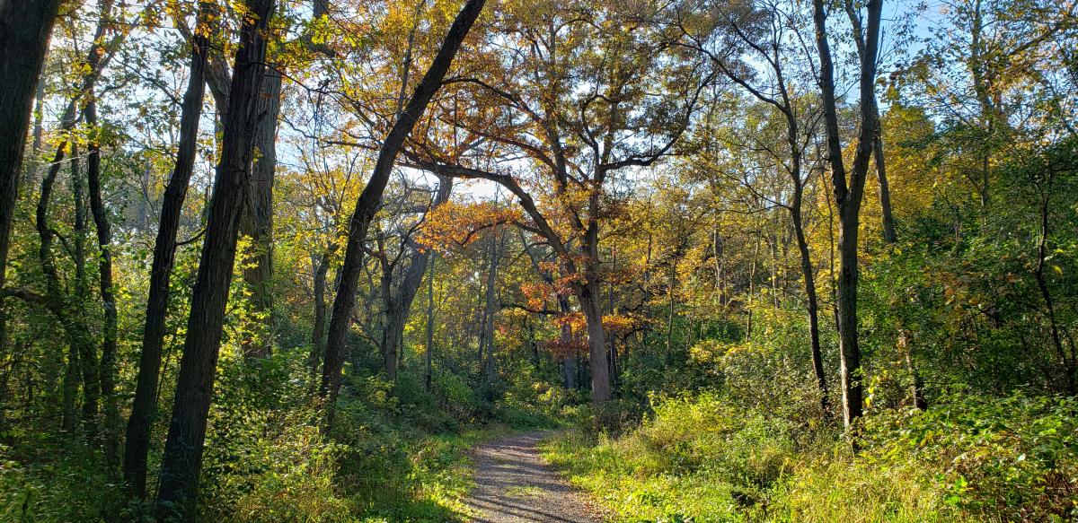 Donald Hackbarth Trail3