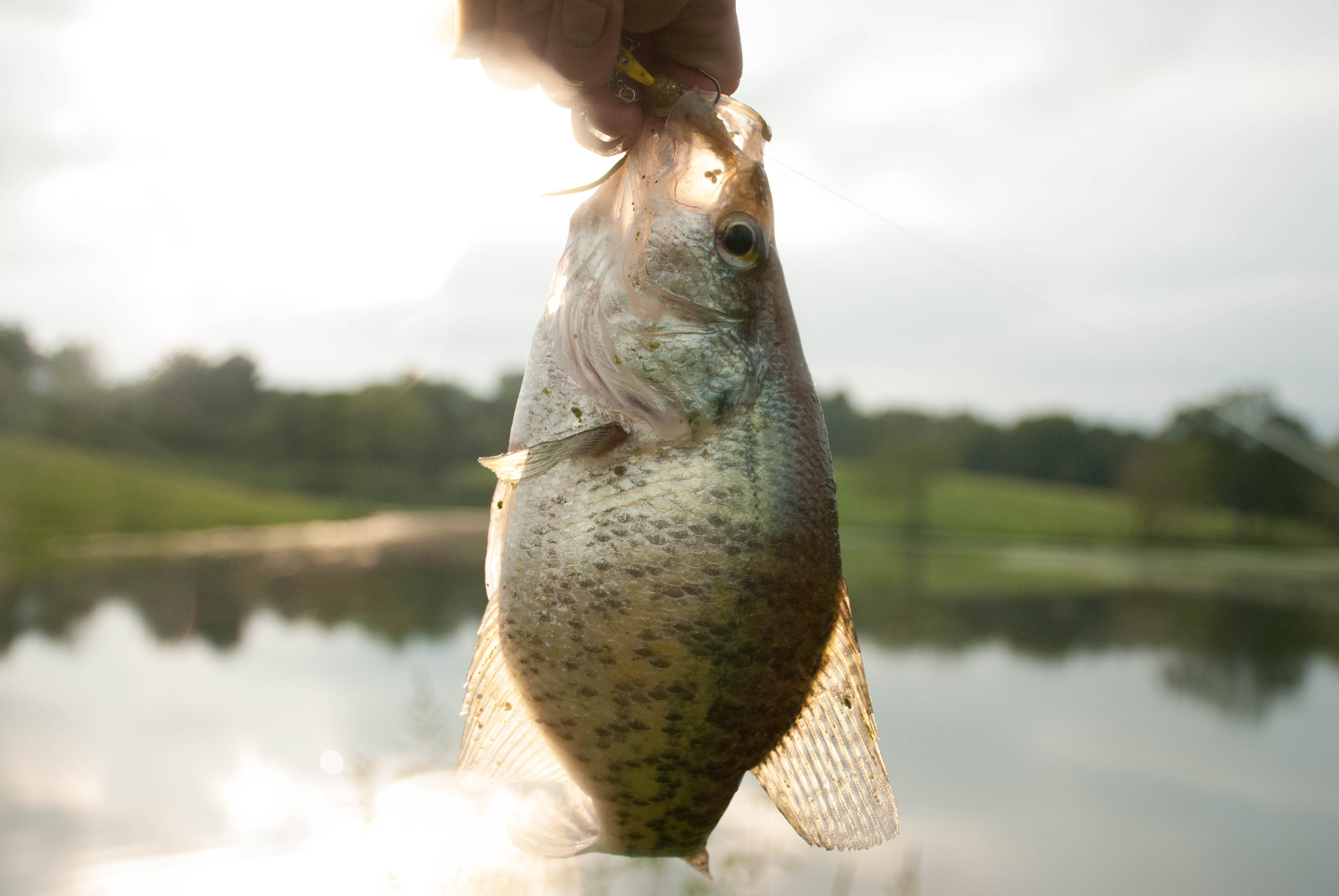 Wyandotte County Lake 3