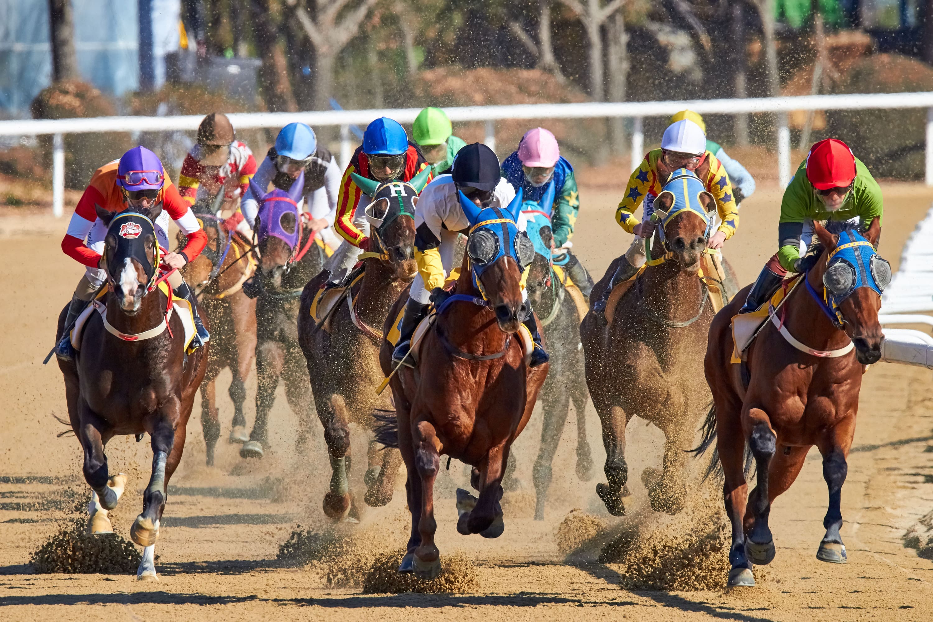 Hialeah Park Racing & Casino 2-min